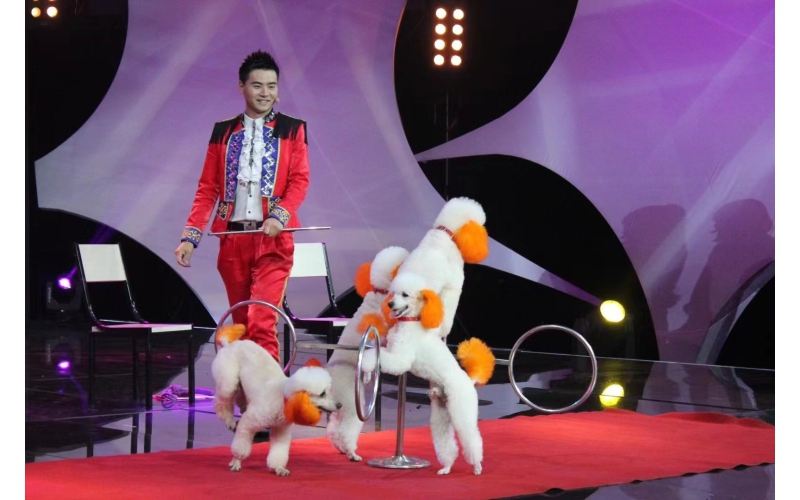 绥江金沙水上乐园迎夏欢乐夜