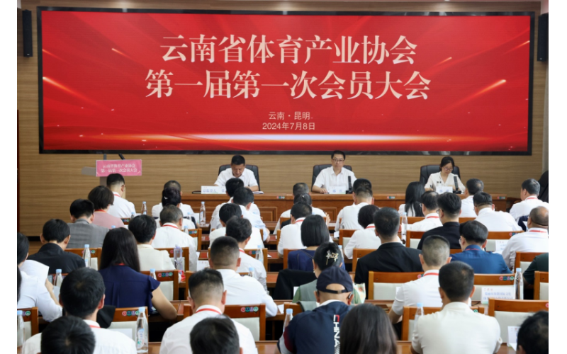 云南省体育产业协会正式成立