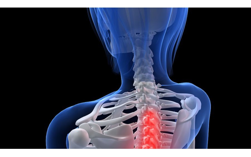 体姿调整改善“富贵包”