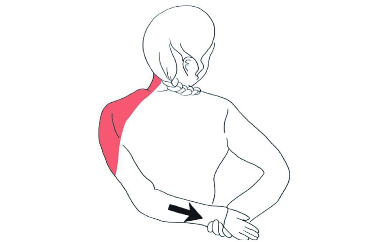 久坐人群这样放松肩关节